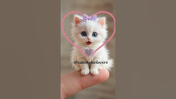 Thumbnail of Cute APT Kitty Singing Rose' & Brunomars APT Song With Love❤️#shorts #cat #kitten #viralvideo #cute