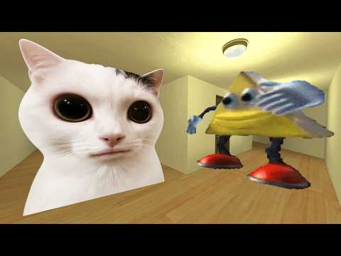 Cat And Dancing Triangle Nextbot Gmod
