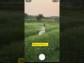 1 phút học chụp ảnh #trangiastudio,#cam4x,iphone,#chupanhdep,#nsnatrangia