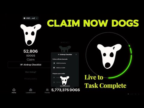 How To Dogs