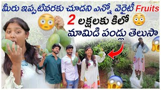 మీరు ఇప్పటివరకు చూడని 2 లక్షలకు కిలో మామిడి పండ్లు తెలుసా|| Trending Dhanvi ||