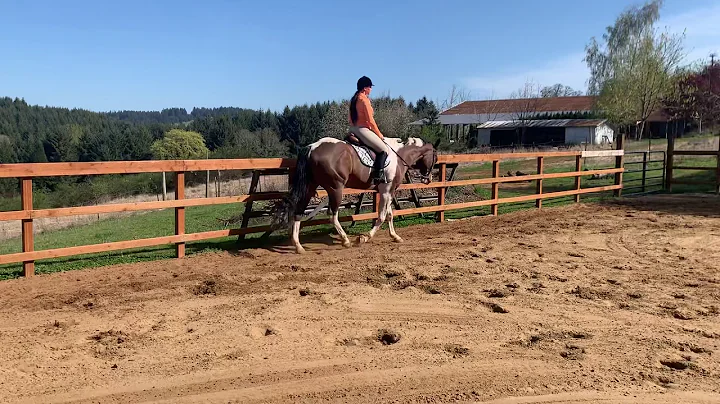 Elizabeth Kauffman (walk/trot/cante...  English)