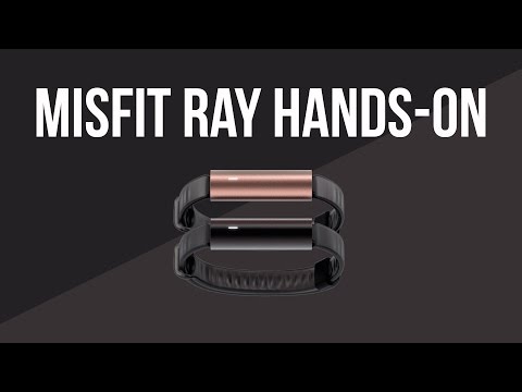 Misfit Ray hands-on