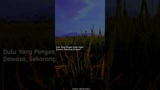 Download Lagu Status WA || Quotes Literasi || DJ Tik Tok Terbaru 2021 MP3 Download Lagu Status WA || Quotes Literasi || DJ Tik Tok Terbaru 2021 MP3