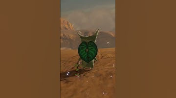 finding a korok every week #zelda #shortvideo #subscribe #botw #nintendo #foryou #shorts