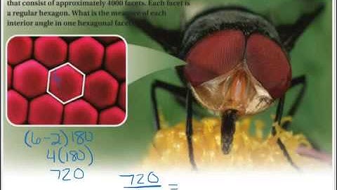 Geometry - 6.1 The Polygon Angle-Sum Theorems