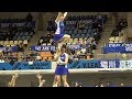 TORAY Arrows チアリーダー ＠2018-19 V.LEAGUE 滋賀大会　 [4k]