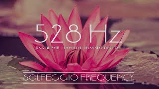 SOLFEGGIO 528Hz The frequency of love  repair and healing of DNA