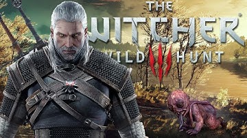 The Witcher 3 Wild Hunt PS4 PRO Playthrough- The Botchling