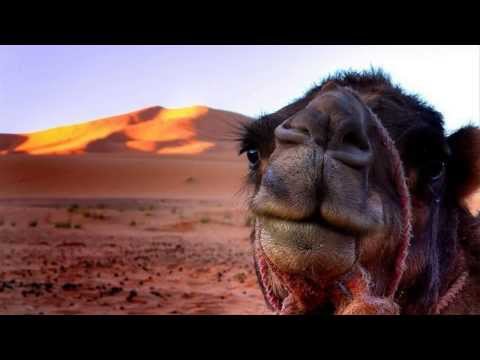 Videó: Házi Világ: Kharak Sivatagok áttekintése