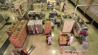 قهرمان تولید