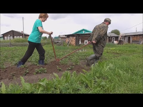 Окучивание картошки. Самый быстрый способ.