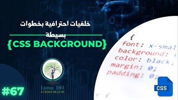 🎨 الدرس 13: أساسيات الخلفيات في CSS - الجزء 1 | background-color, image, size, position والمزيد! 🌆