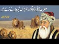The life and kramaat of Hazrat boo ali qlandar r.a (Part 2) in urdu hindi-islamic videos