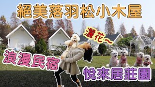 嘉義悅來居莊園，絕美落羽松獨棟小木屋，浪漫寵物友善民宿 ... 