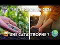 Les apports dengrais 2024 une catastrophe 