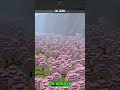 This Mod Makes Minecraft Terrain INSANE #shorts