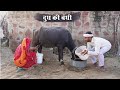            rajasthani comedy