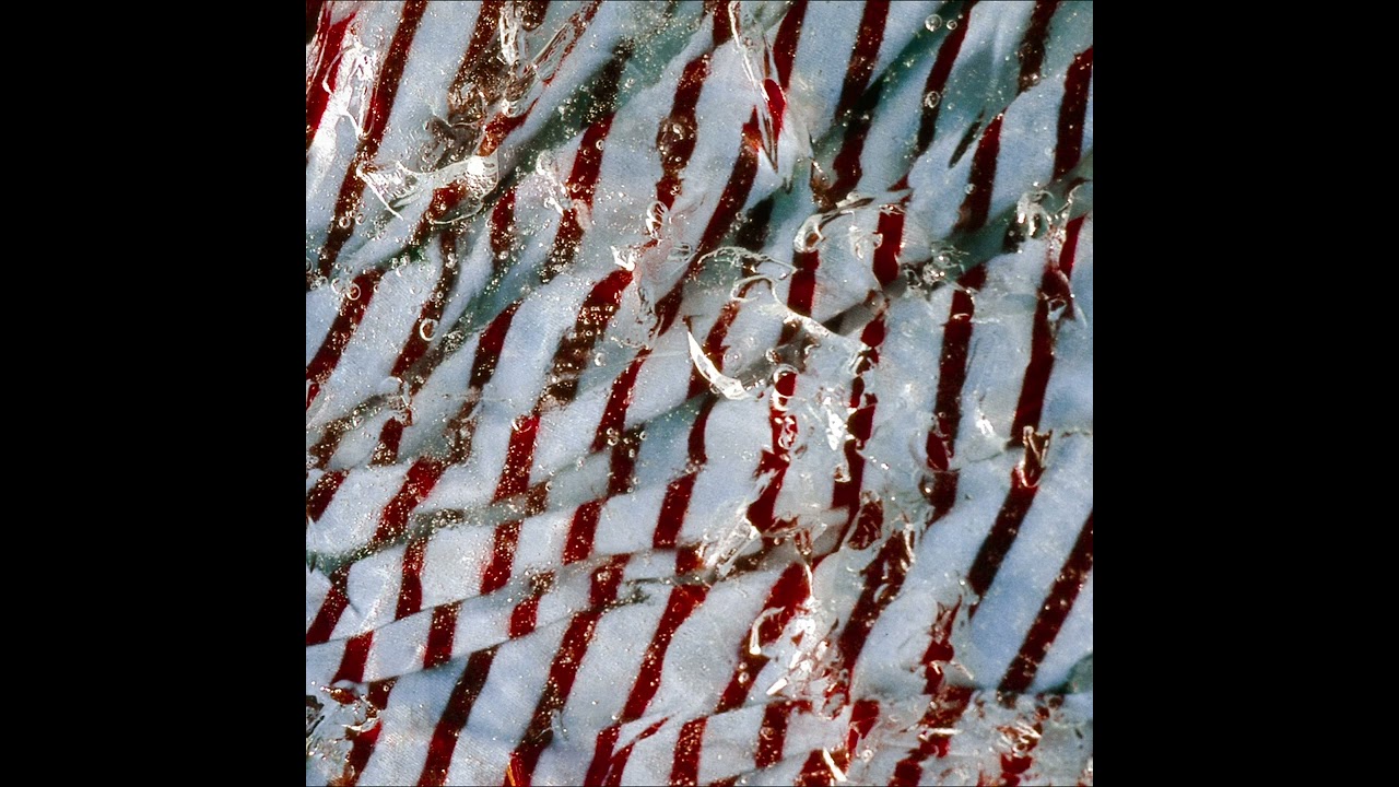 Watch FOLLO | Fragaria on YouTube Watch FOLLO | Fragaria on YouTube