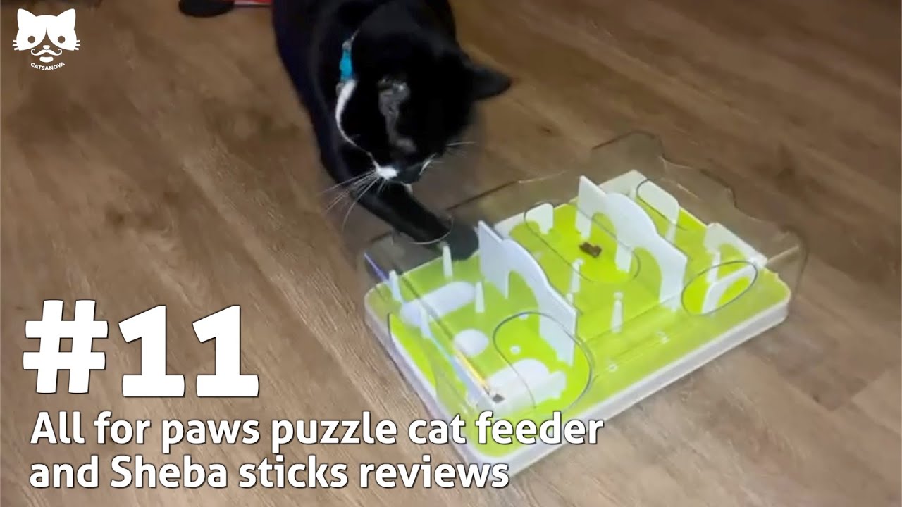 The All For Paws Interactive Puzzle Cat Feeder offers an excellent