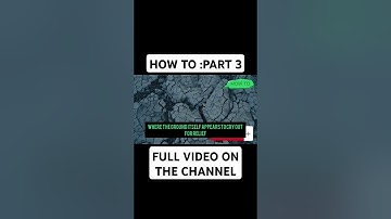 I Survived The World