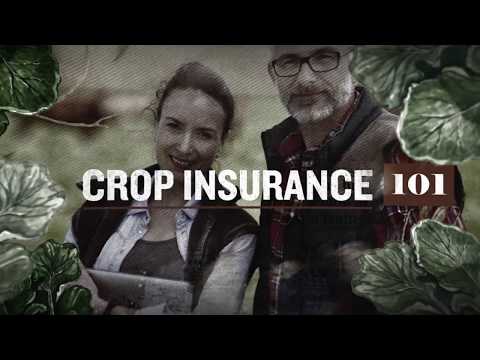 Crop Insurance 101 Video