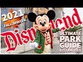 UPDATED Disneyland travel guide [FALL/ WINTER 2021] - Tips, tricks and EVERYTHING you NEED to KNOW!