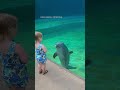 Toddler has adorable interaction with dolphin at aquarium