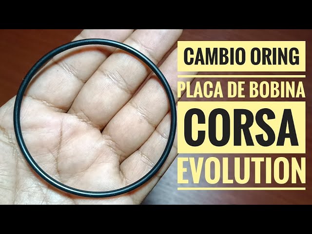 Manuscrito Supervivencia Falange CAMBIO DE ORING DE PLACA DE BOBINA CHEVROLET CORSA EVOLUTION - YouTube