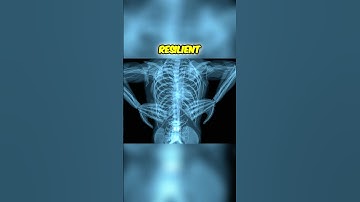 The Jefferson Curl is not the answer for everyone! #jeffersoncurl #lowerbackpain #lowerbackstretch