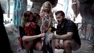 Love Birds | SeaWorld Orlando