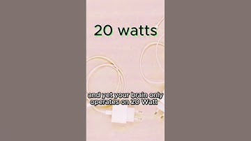 Complexity of the Brain - Michio Kaku #brain #michiokaku #complexity