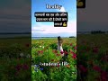 अंतिम प्रयास मतलब सफलता 💪😊 motivational lines #trending #mhacommunity #motivation #studymotivation