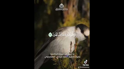 " وَفَاكِهَةٍ مِّمَّا يَتَخَيَّرُونَ" ما تيسر من سورة الواقعة بصوت الشيخ أحمد المعصراوي #المعصراوي
