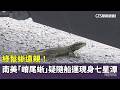 綠鬣蜥遠親！　南美「嵴尾蜥」疑隨船運現身七星潭｜華視新聞 20260520 @CtsTw