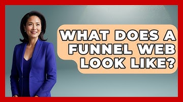 What Does A Funnel Web Look Like? - Insects and Invaders