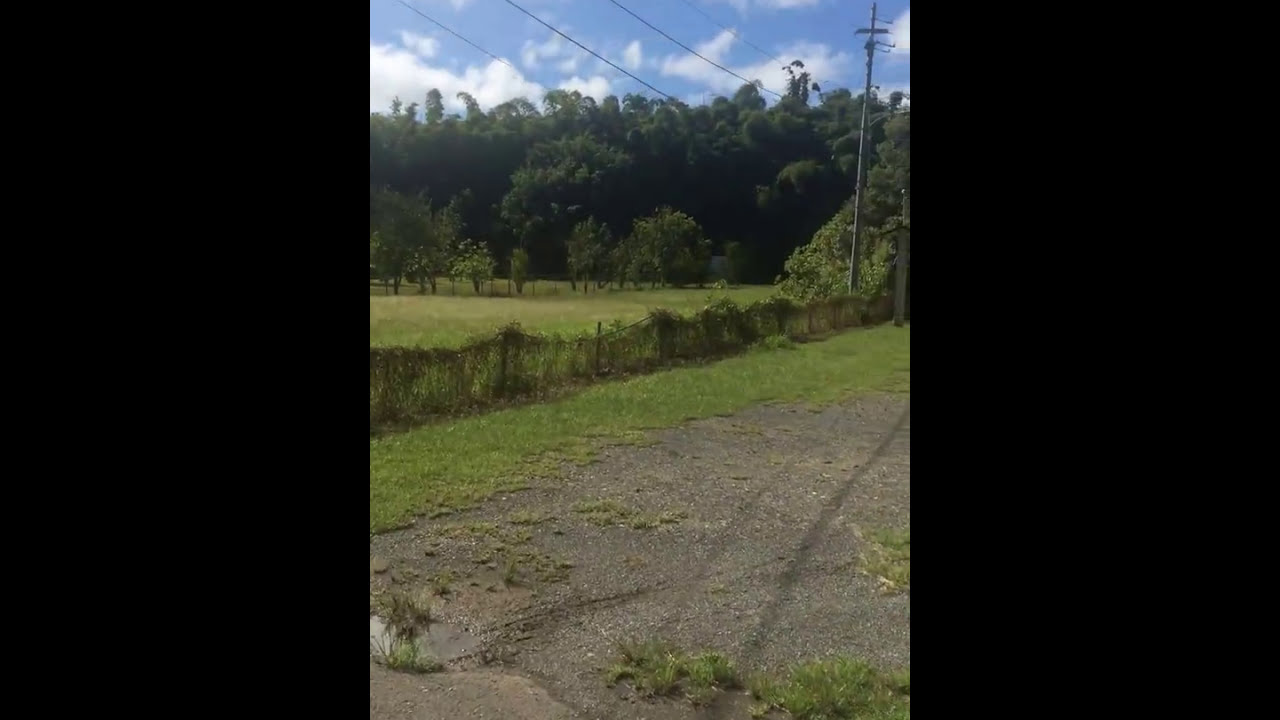Rincon  Puerto Rico 6 plex all cement on 1 acre flat land for sale
