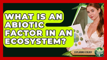 What Is An Abiotic Factor In An Ecosystem? - Explaining Ecology