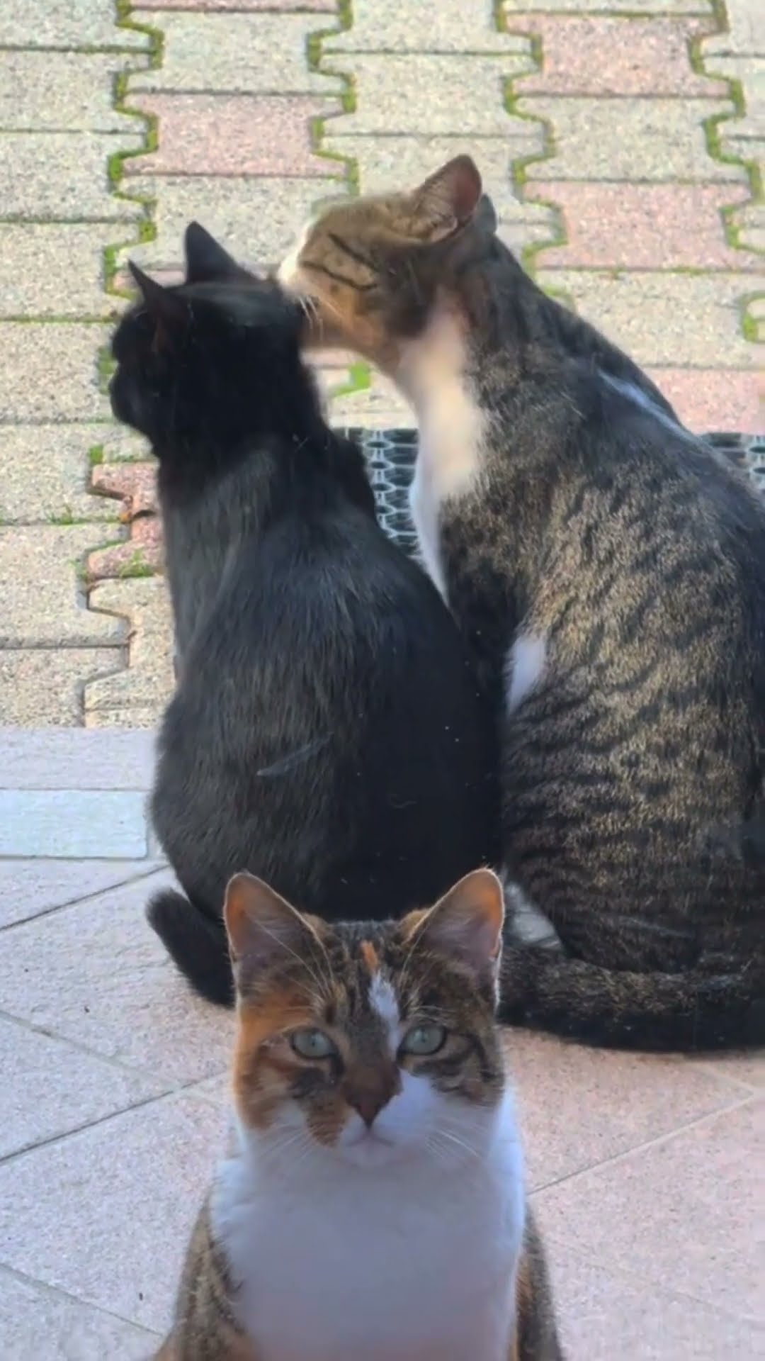 Je t'aime maman très fort toujours je t'aime ?????