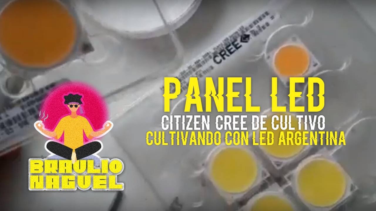 Panel LED Citizen/CREE de cultivo-Cultivando con LED Argentina