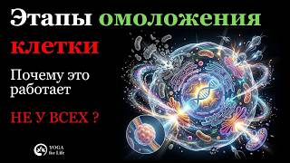 Голодание и детокс: почему вы делаете это неправильно? Научный подход к долголетию