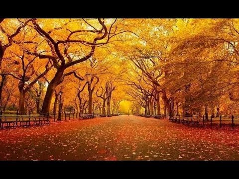 周星驰国产凌凌漆【秋意浓·李香兰】萨克斯钢琴千古绝唱 卢海昌·李劲锋