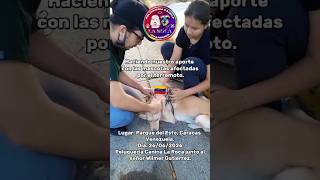 Haciendo nuestro aporte con las mascotas afectadas por el terremoto en Venezuela 🇻🇪 #venezuela