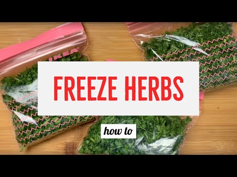 Video: Cara Membekukan Herbal Segar: Menyimpan Herbal Segar di Freezer Anda