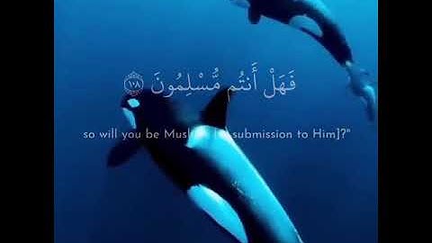 وما أرسلناك إلا رحمةً للعالمين.. تلاوة رائعة
