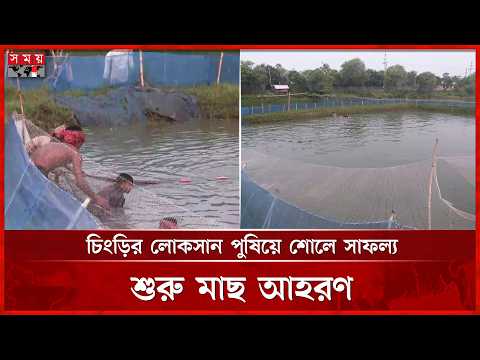 চিংড়ির লোকসান পুষিয়ে শোলে সাফল্য, শুরু মাছ আহরণ | Khulna News | Somoy TV