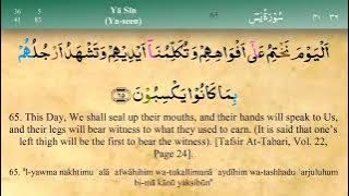 Juz 23 | Quran | Sheikh Mishary Rashid Al-Afasy | Arabic English Translation | Para 23 قرآن