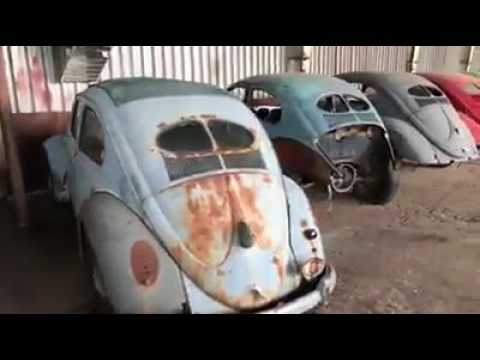 classic vw bugs vintage