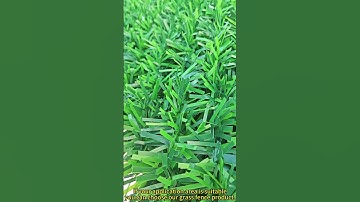 Artificial Wire Mesh Roll Fence Artificial Green Pine Needle Fence Wall Grass Fence Decoration