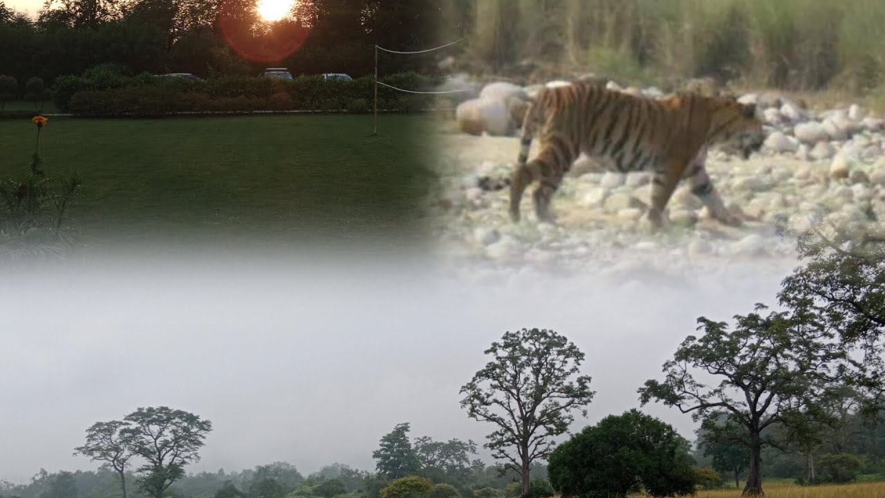 Jim Corbett Ep - 2 ll Jungle Safari ll Birth day VLOG ll #jimcorbettresort